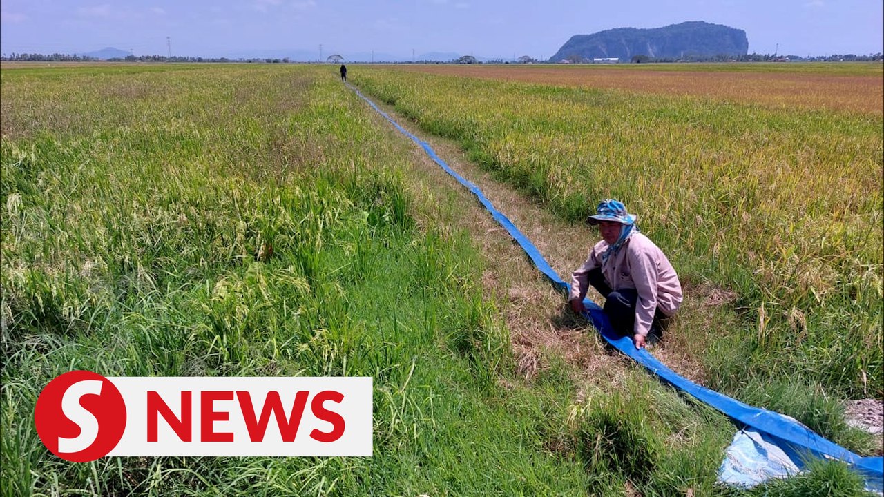 Government will also look into the welfare of farmers, says Anwar