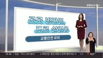 [생활날씨] 밤사이 중부내륙 눈 조금…빙판길, 살얼음 주의