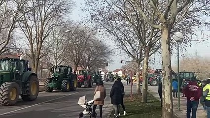 Cola de la manifestación de tractores