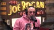 Anticipating Sean Strickland's Title Defense Against Dricus Du Plessis - The Joe Rogan Podcast