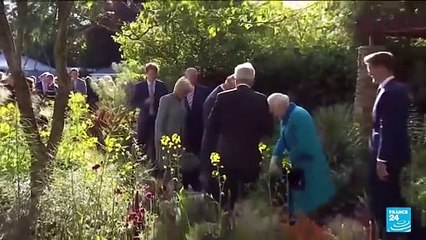 Le roi Charles III atteint d'un cancer