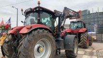 Los agricultores protestan con tractores ante el Parlamento Europeo en Estrasburgo.
