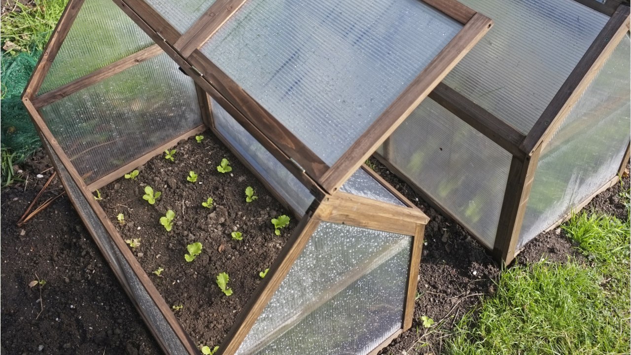 Stutzen, harken und säen: diese gartenarbeiten stehen im februar an