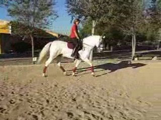 etalon  PRE  CARDENAS