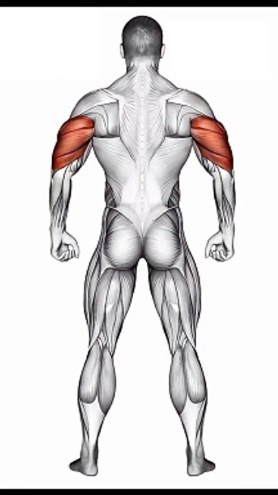 Sculpt Your Arms #tricepsworkout #armday #shortsfeed #fitnessjourney #workoutmotivation #shorts