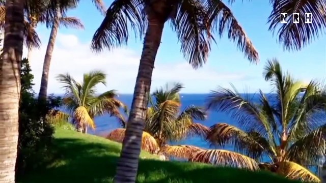 Natural relaxation film Wonderful Nature with most charming landscapes, seascapes, water waves, birds, green tree, mountain road, beautiful nature & stress relief music. relaxing music