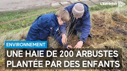 Une haie de 200 arbustes plantée par des enfants à la Grange aux Bois à Polisy