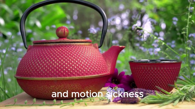 Top 10 Herbal Teas For Wellness-You Must Know