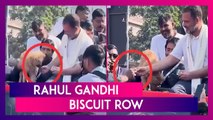 Rahul Gandhi Biscuit Row: Congress Leader Allegedly Gives Biscuit From Dog’s Plate To Supporter