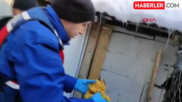 Van'da uyuşturucu ticareti yapan suç örgütüne operasyon: 5 tutuklama