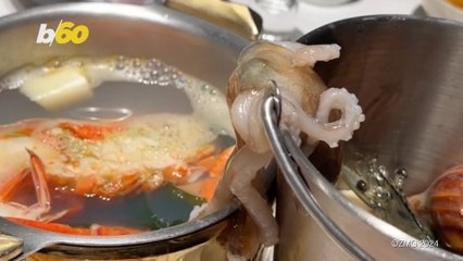 Watch an Octopus Try to Escape From a Hot Pot Meal
