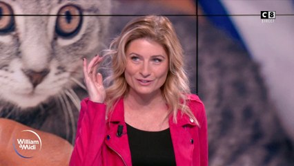 Vos animaux : chats, ils nous parlent... Il suffit de savoir les écouter !