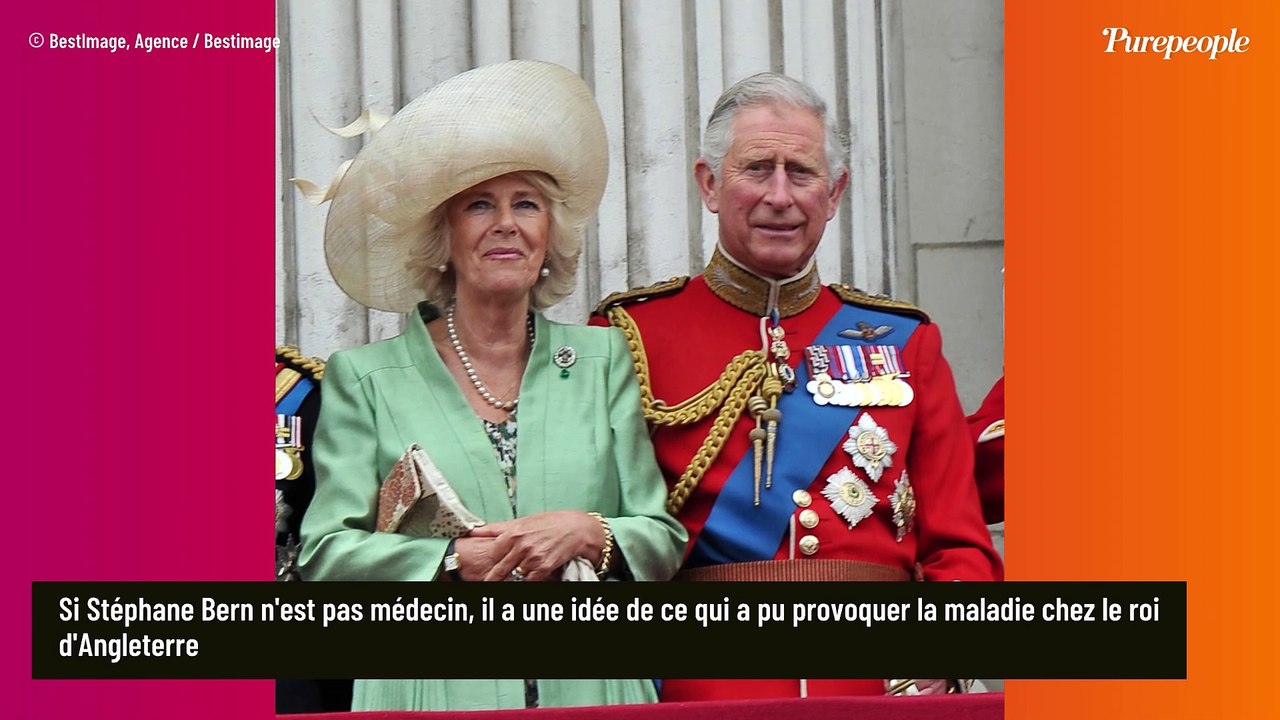 Charles III : Révélations sur la possible origine de son cancer par un expert, le prince Harry pointé du doigt