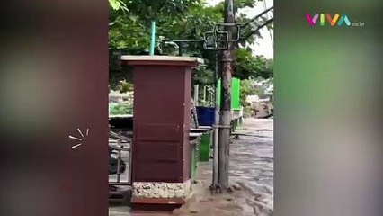 'Ledakan' Banjir Ekstrem di Grobogan, Terjang 32 Desa