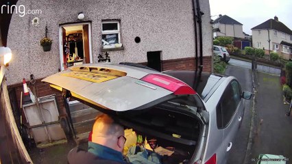 Dolly Needs to Work on Her Spatial Awareness