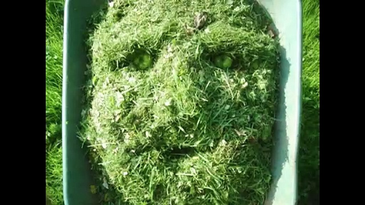 Programme des courts métrages documentaires nommés aux César 2024 Bande-annonce VF