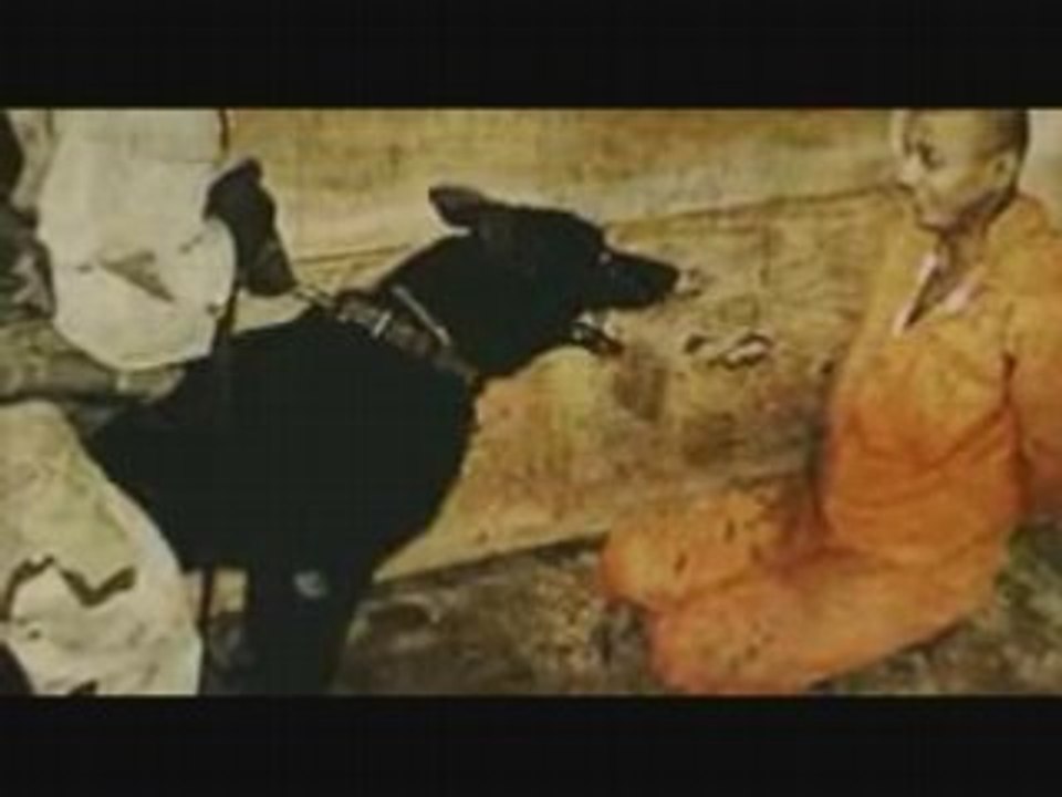 Casey-Dans_Nos_Histoires-1