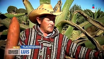 Se festejó el Día Nacional del Pulque en Hidalgo
