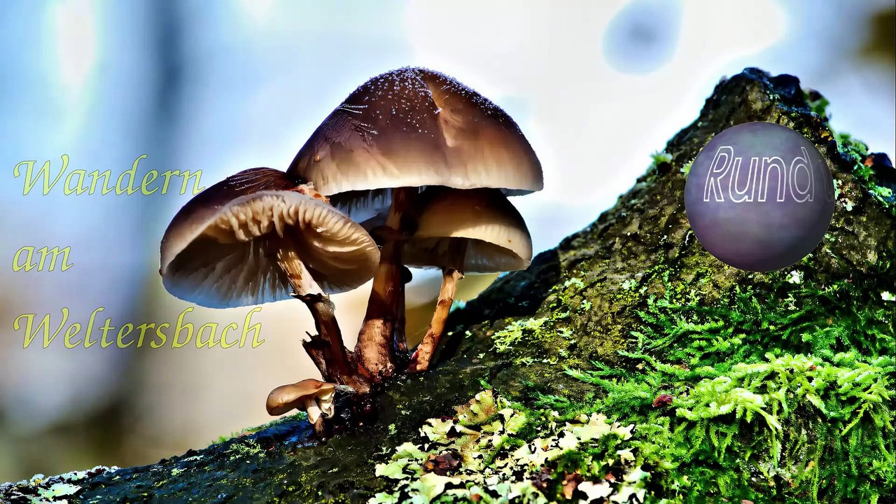 Wandern_am_weltersbach