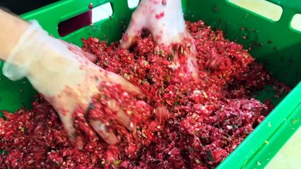 Appétit : Connaissez-vous les boudins de Boën-sur-Lignon ?