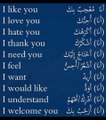 learn Arabic language for beginners