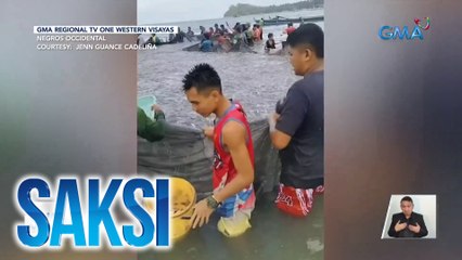 Sandamakmak na dilis, dumagsa sa dalampasigan | Saksi