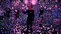 Novo museu em Tóquio tem cascatas de luzes e chuva de estrelas