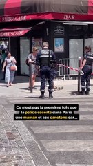 Des canards sauvés par la police !