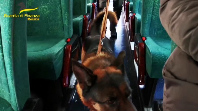 Sbarcano a Messina con 5 chili di hashish marchiati Forza Napoli : arrestati 2 corrieri (06.02.24)