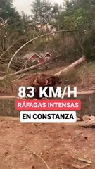 Fuertes ráfagas de viento se están registrando en Constanza