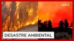 Incêndios florestais de grandes proporções deixam ao menos 123 mortos no Chile