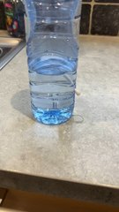 Faire un goutte-à-goutte pour ne plus arroser ses plantes