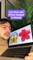 Les trucs qui m’ont choqué à Hawaii !