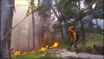 Avançam incêndios em florestas nativas da Patagônia argentina