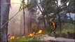 Avançam incêndios em florestas nativas da Patagônia argentina
