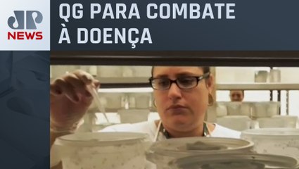 Governo de São Paulo cria centro de operações para monitorar dengue