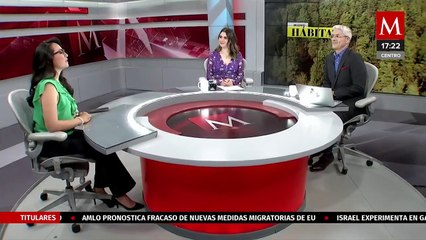 La Caída del Borracho, acueducto del Cutzamala que abastece al poniente de la CdMx | Milenio Hábitat