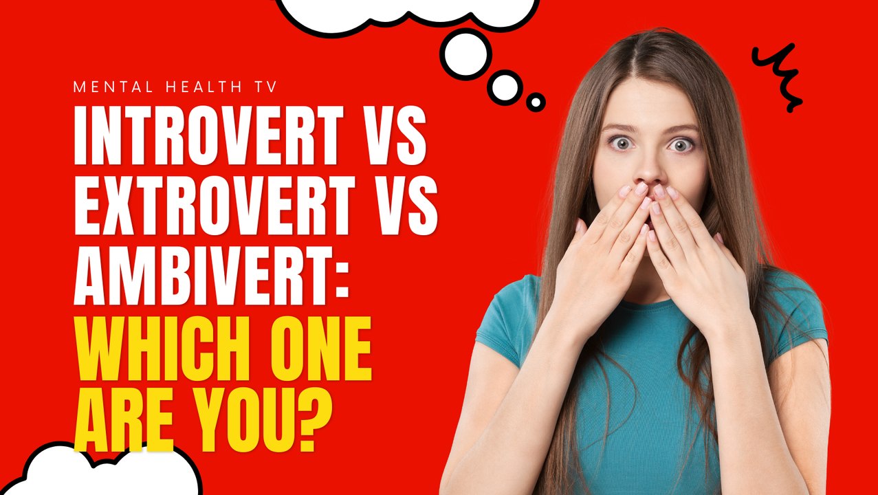 Introvert vs Extrovert vs Ambivert - Which One Are You? Part 4 ...