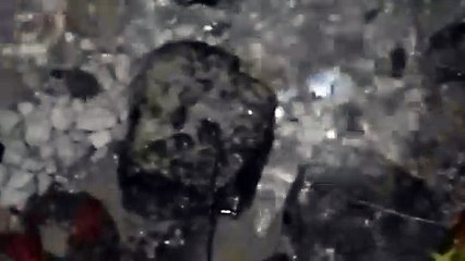 Water as the Source of Life