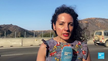 Informe desde Viña del Mar: crece el debate sobre el motivo de los incendios en Chile