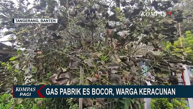 Gas Amonia Pabrik Es di Karawaci Bocor Sebabkan 27 Warga Keracunan