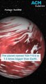 Potentially habitable Super-Earth discovered