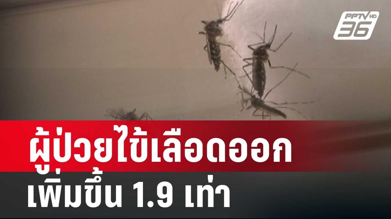 กรมควบคุมโรค เผย ผู้ป่วยไข้เลือดออกเพิ่มขึ้น 1....