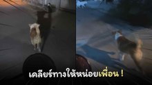 บอดี้การ์ดส่วนตัว ช่วยเคลียร์ทางตอนขี่มอเตอร์ไซค์กลับบ้าน !
