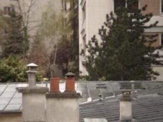 Desperately seeking Charlie