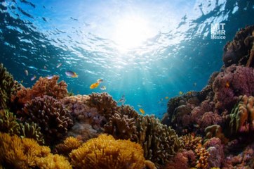 ¿Cómo competir en ecosistemas empresariales? Adoptando un nuevo marco estratégico