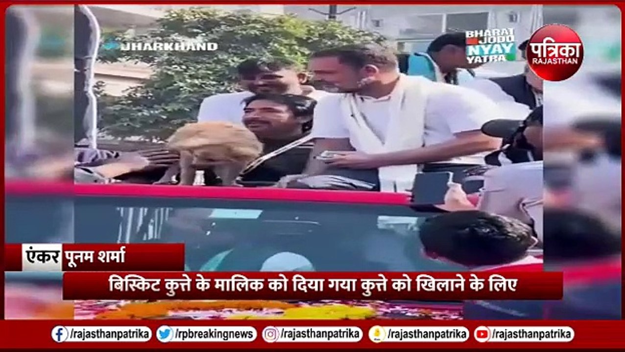 Rahul on BJP :  'कुत्तों ने BJP का क्या बिगाड़ा है?