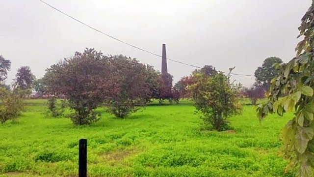 जयपुर में धूप ​खिली, श्रीगंगानगर में बारिश