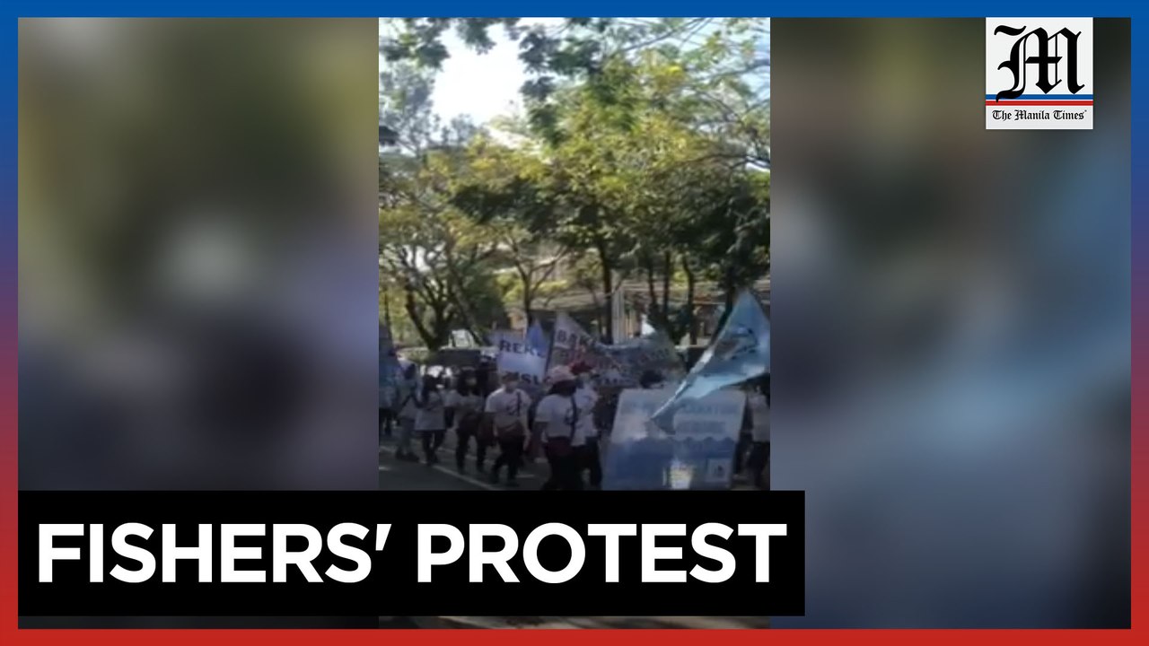 Govt asked to stop reclamation in Manila Bay, parts of PH