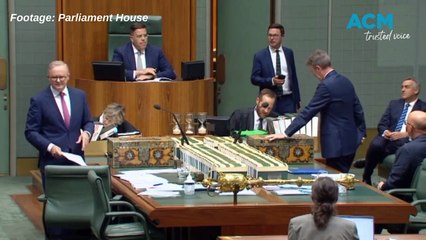 Anthony Albanese's Favorite Jack Nicholson Movie Revealed 🎬